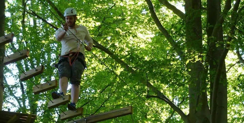 samarbejdsøvelse med skovens klatrebane er en sjov team building øvelse