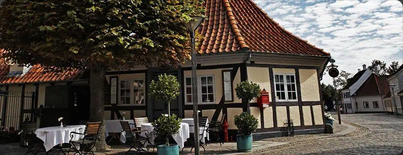 Teambuilding i Odense under lindetræet